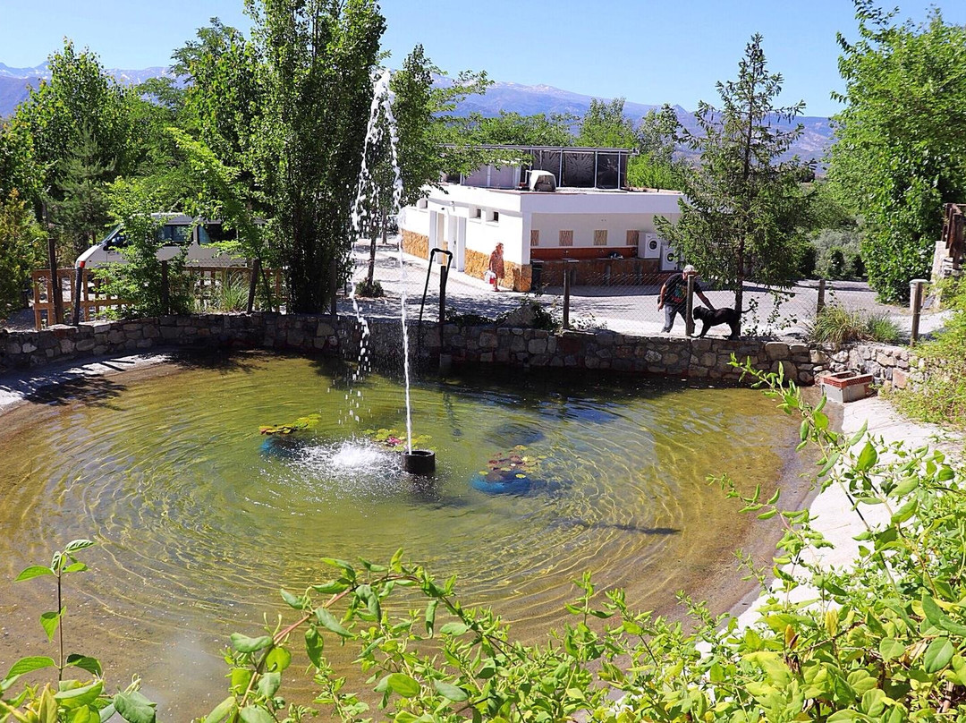 Beas de Granada旅游攻略图片