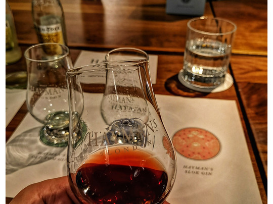 Hayman's Distillery-伦敦必去景点