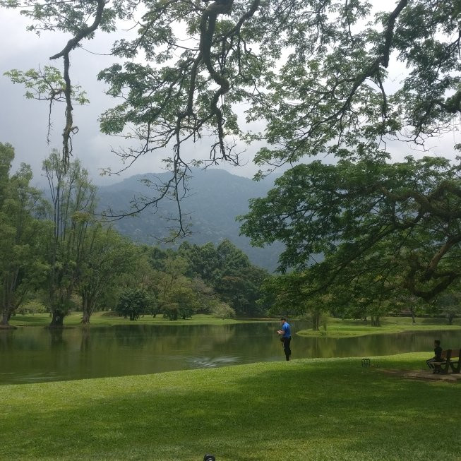 Tours In Malaysia-乔治城必去景点