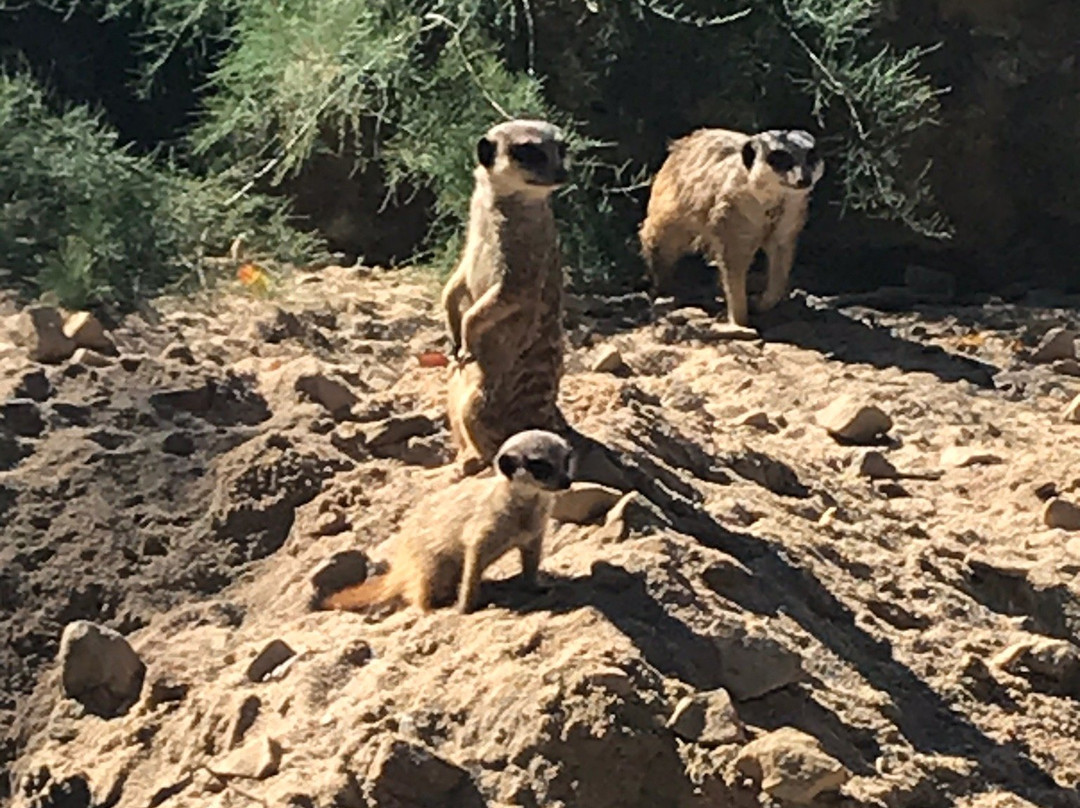 Krefeld Zoo景点图片