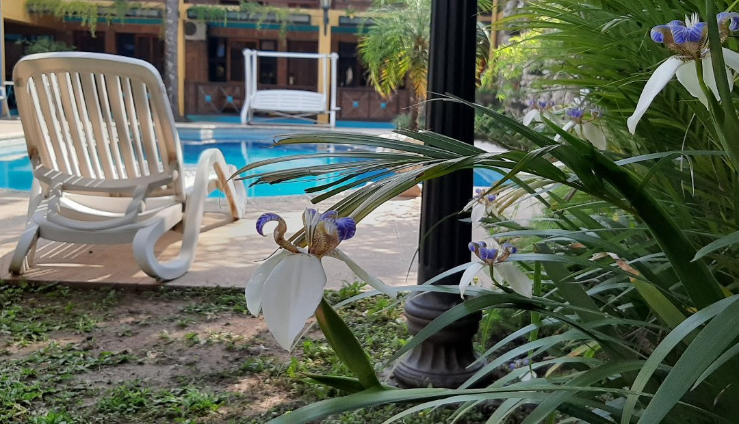 Apart Casa Grande主图