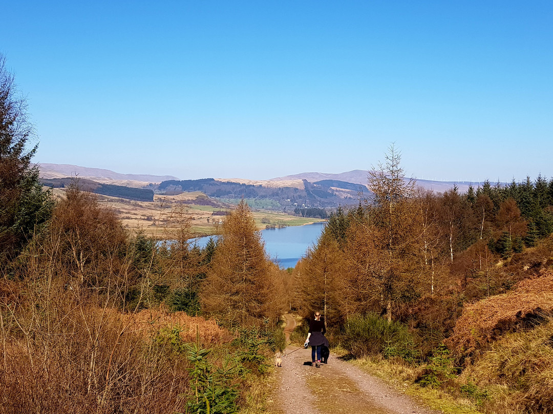 Westcot Bed & Breakfast主图