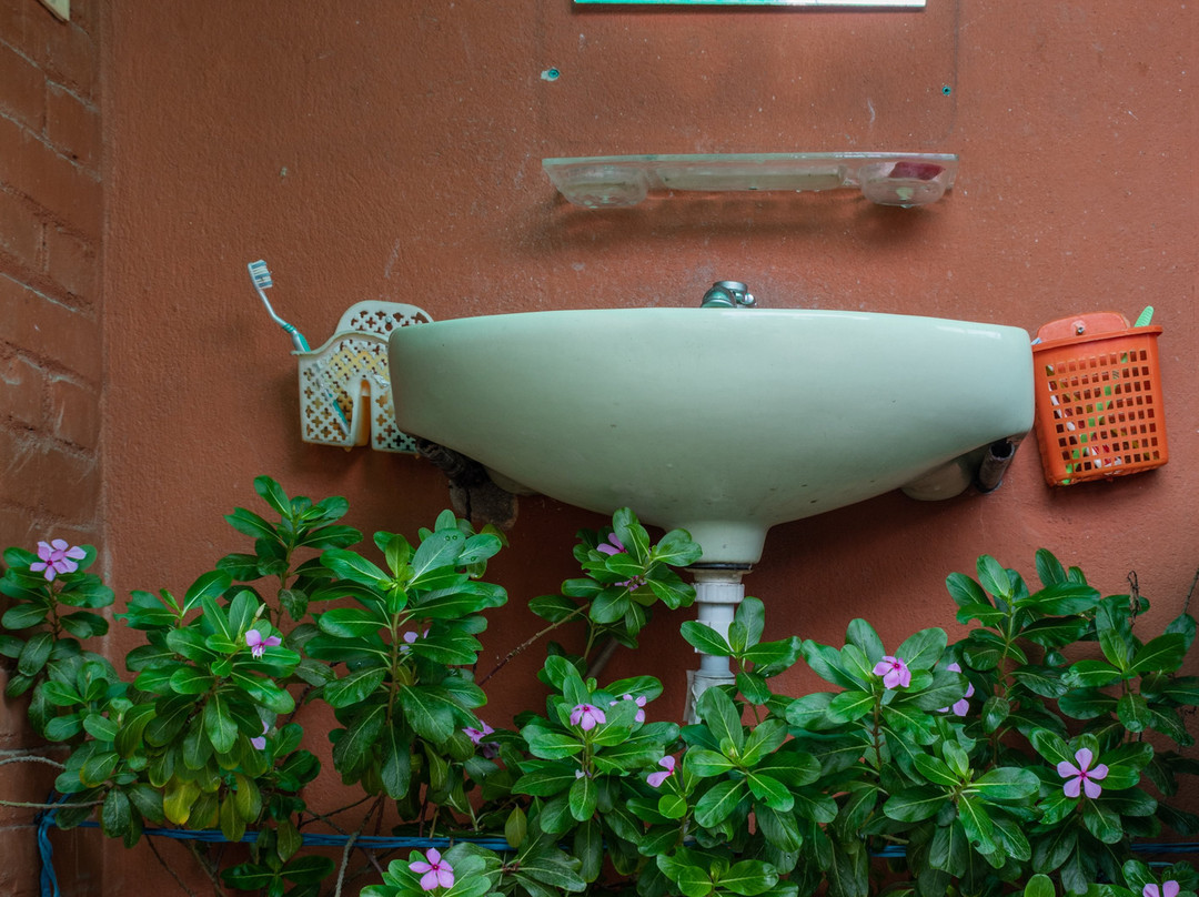 Catsun Family Home主图