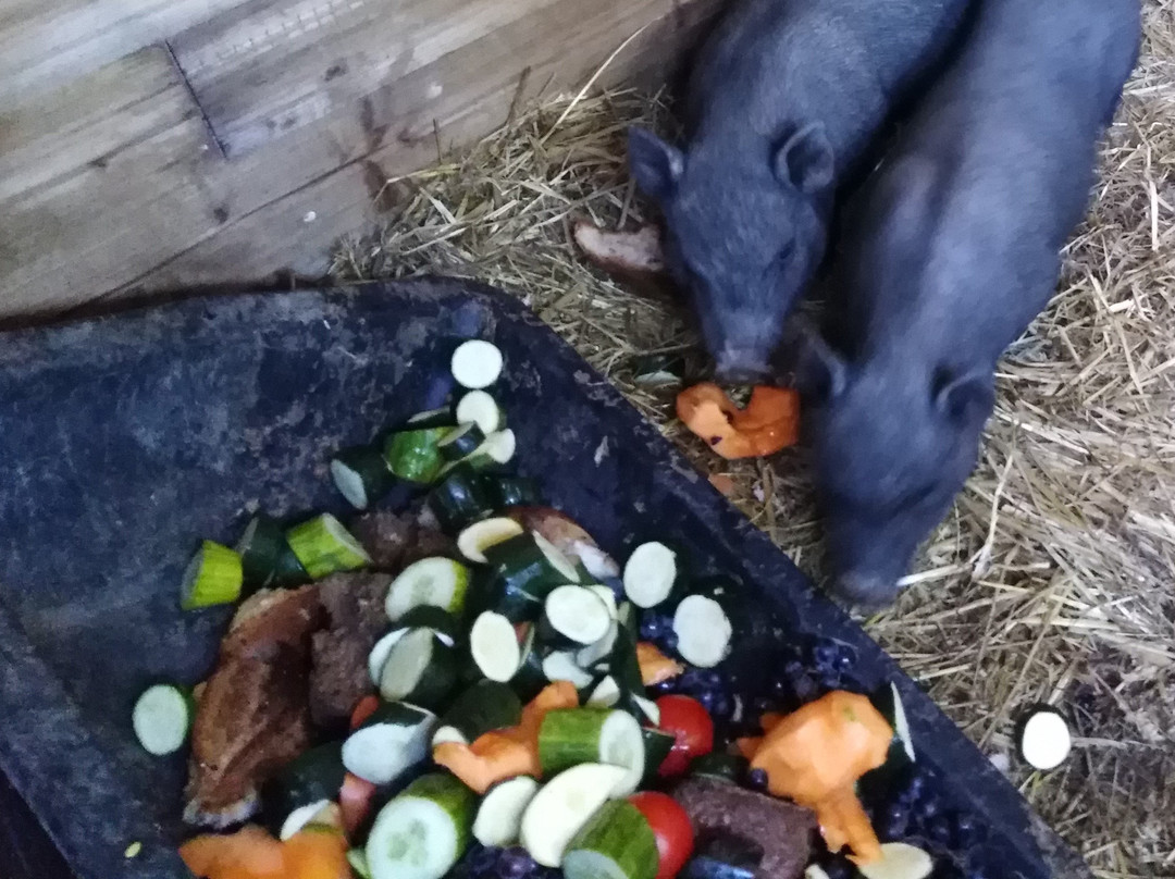 Ferme Pédagogique de Cinquante景点图片
