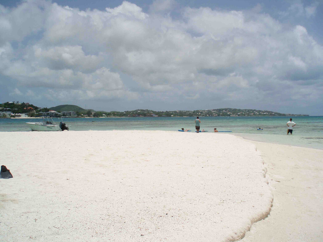 Miguel's Holiday Adventure-圣 约翰必去景点