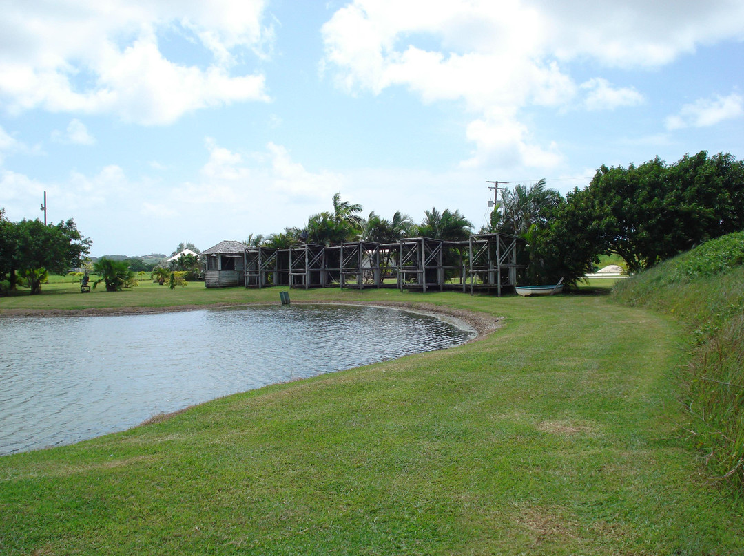 Kendal Sporting Barbados景点图片