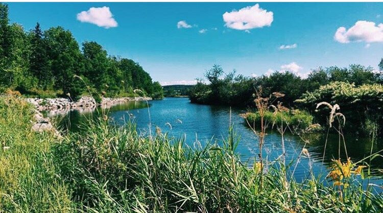 Antigonish Landing Trail