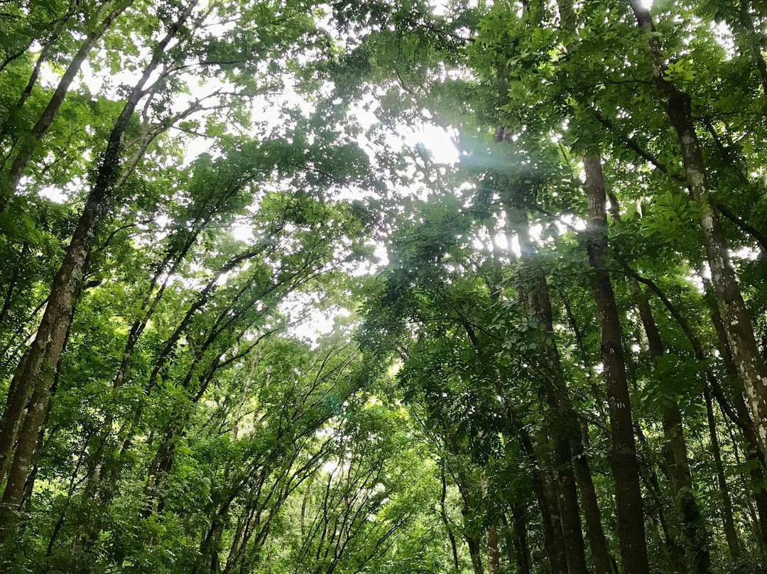 AJ的地方一日游景点图片