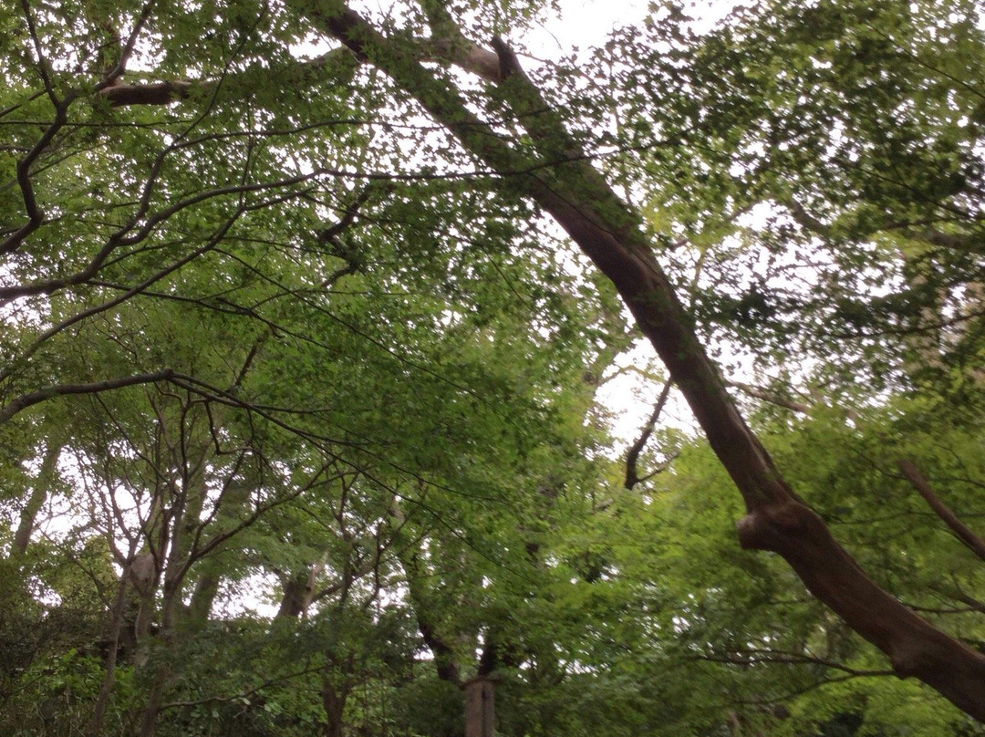 Hase-dera Temple Scenic Walkway-镰仓市必去景点