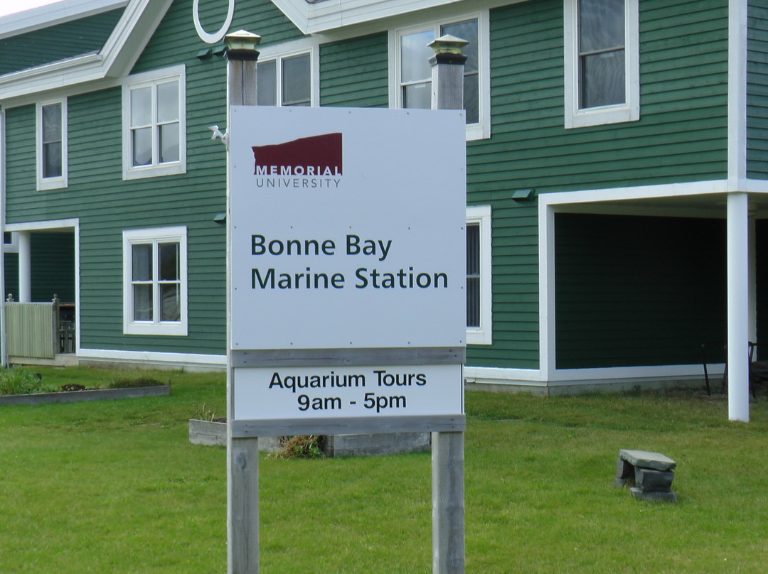 Bonne Bay Marine Station景点图片