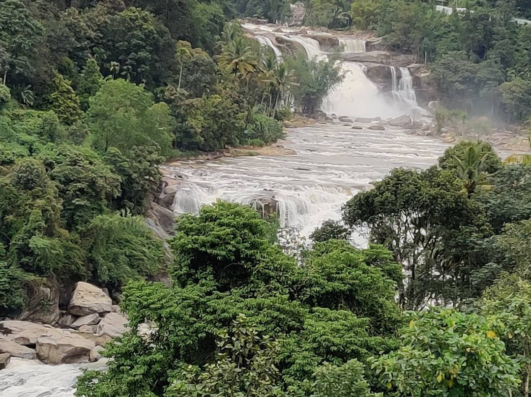Thrissur District旅游攻略图片
