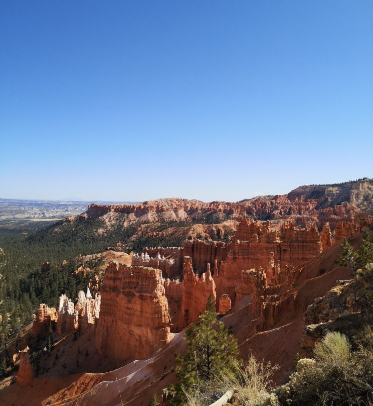 Bryce Canyon ATV Adventures-布莱斯必去景点