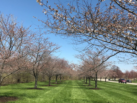 Brooklyn旅游景点-Brookside Reservation