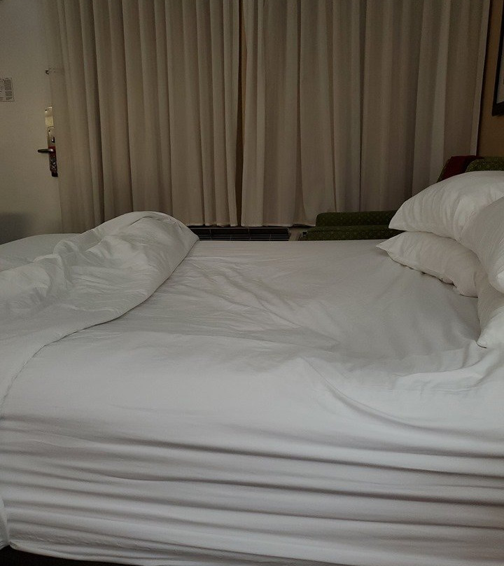 奥兰多基西米红狮酒店主图