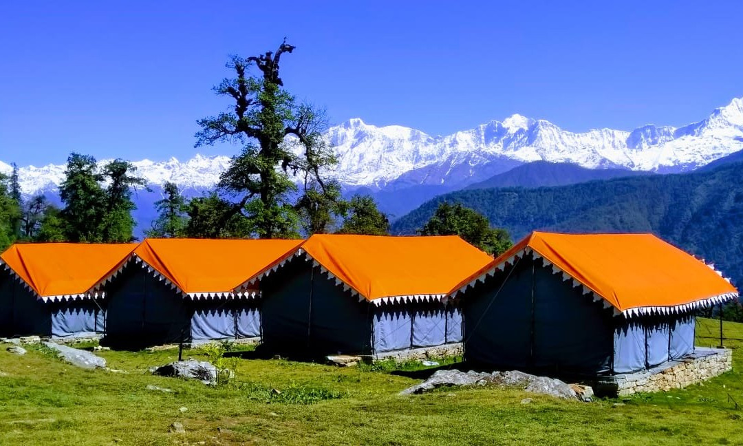 The Meadows Chopta
