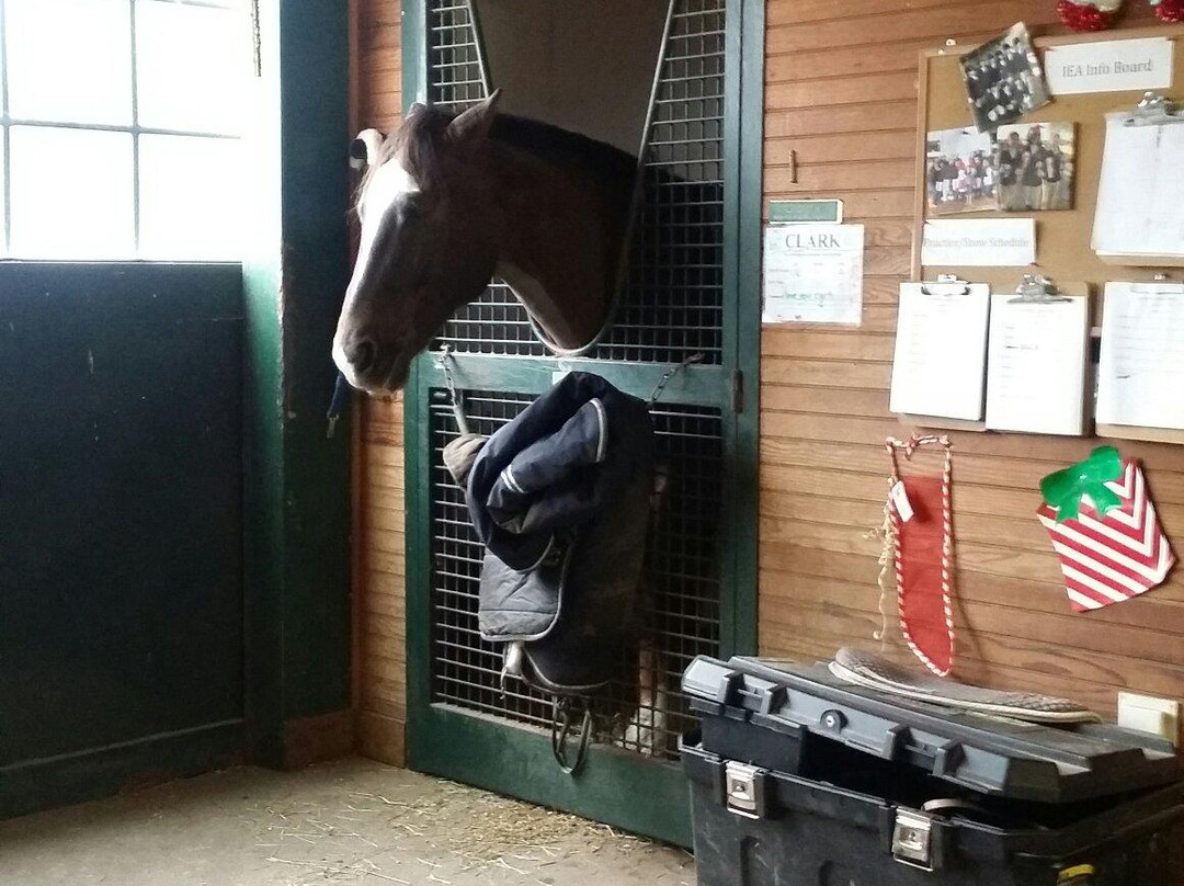 Seaton Stables-莫里斯敦必去景点