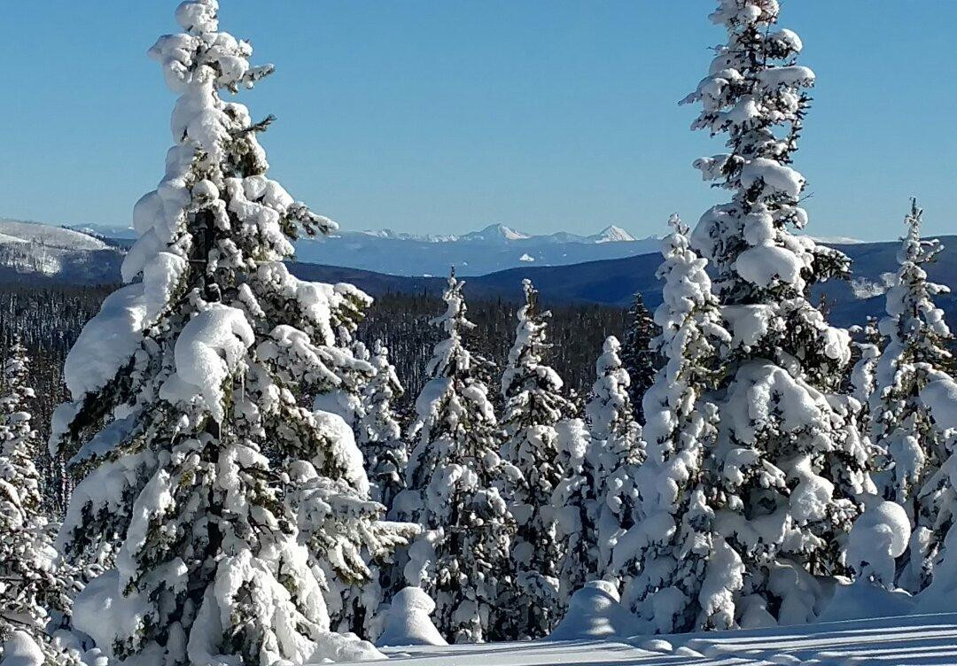 Chief Joseph Cross Country Ski Trail景点图片