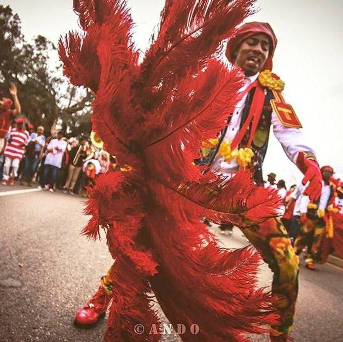 Treme Luxury Experience景点图片
