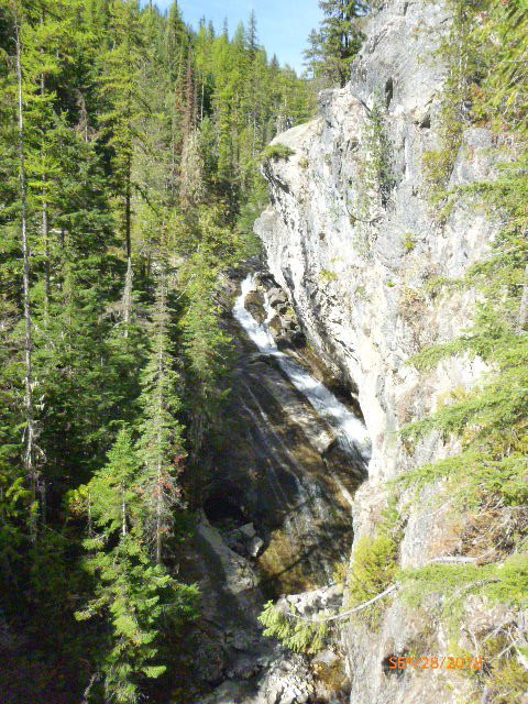 Roosevelt Grove of Ancient Cedars