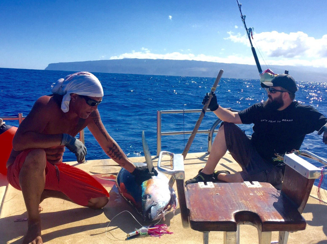 No Problem Charters-科卡哈必去景点