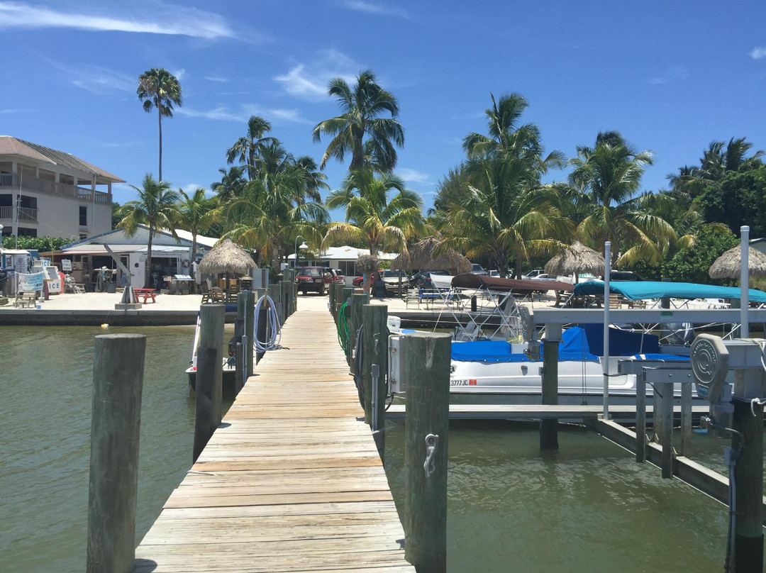 Jensen's Marina Boat Rentals-俘虏岛必去景点