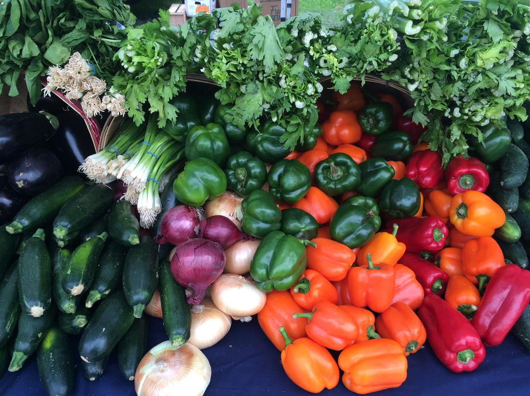 Sanibel Island Farmer's Market景点图片