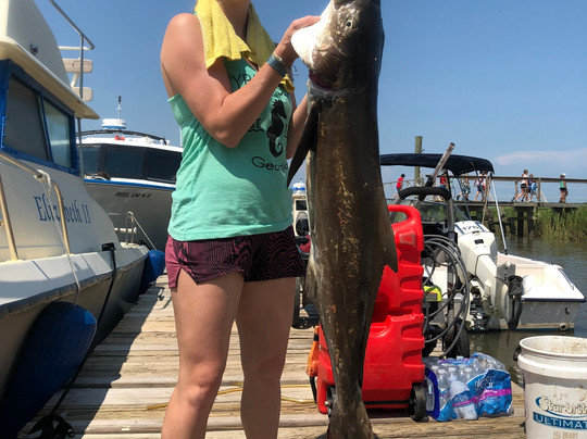 American Fishing Charters