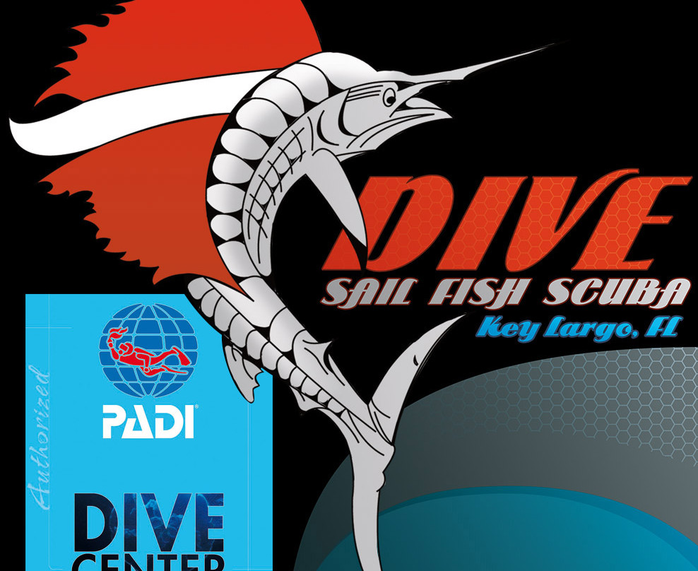 帆鱼潜水-拉哥岛必去景点