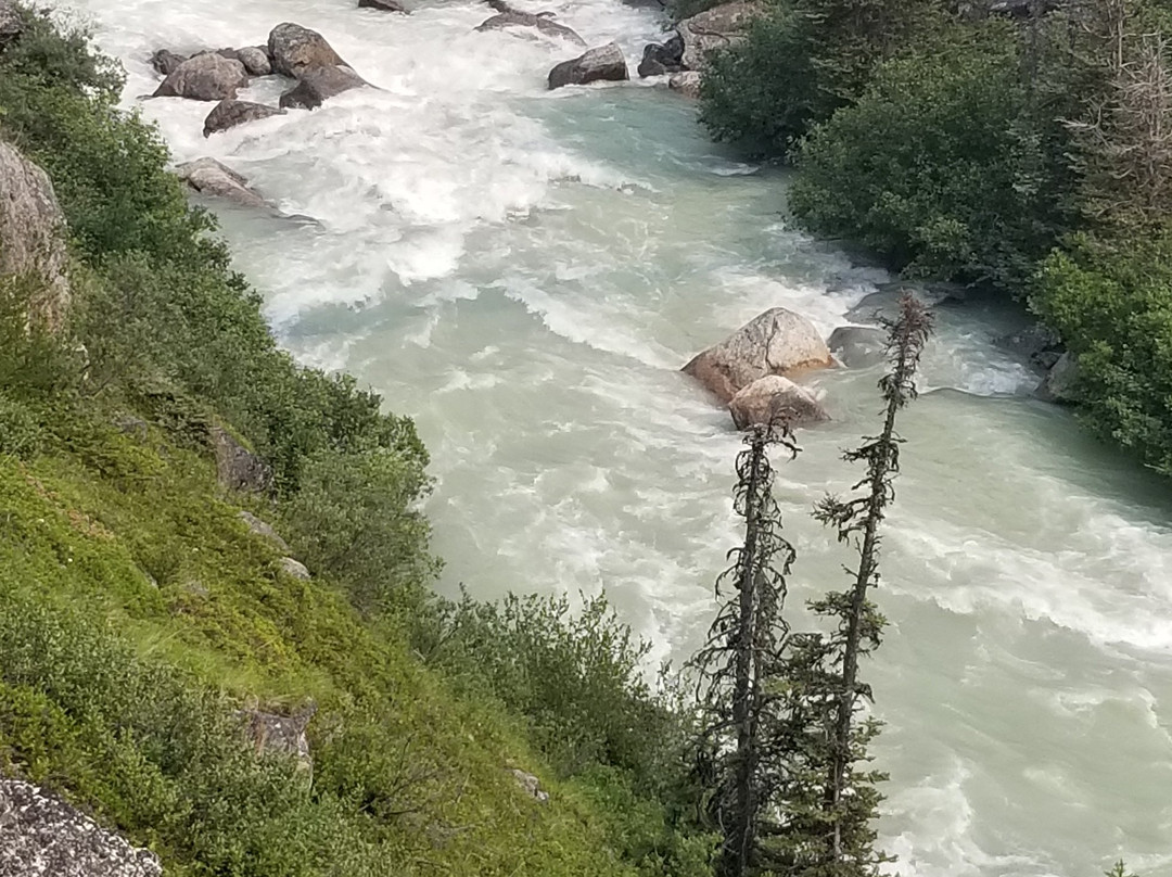 Yukon Suspension Bridge-白马市必去景点