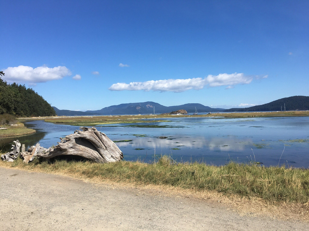 Lopez Island旅游攻略图片