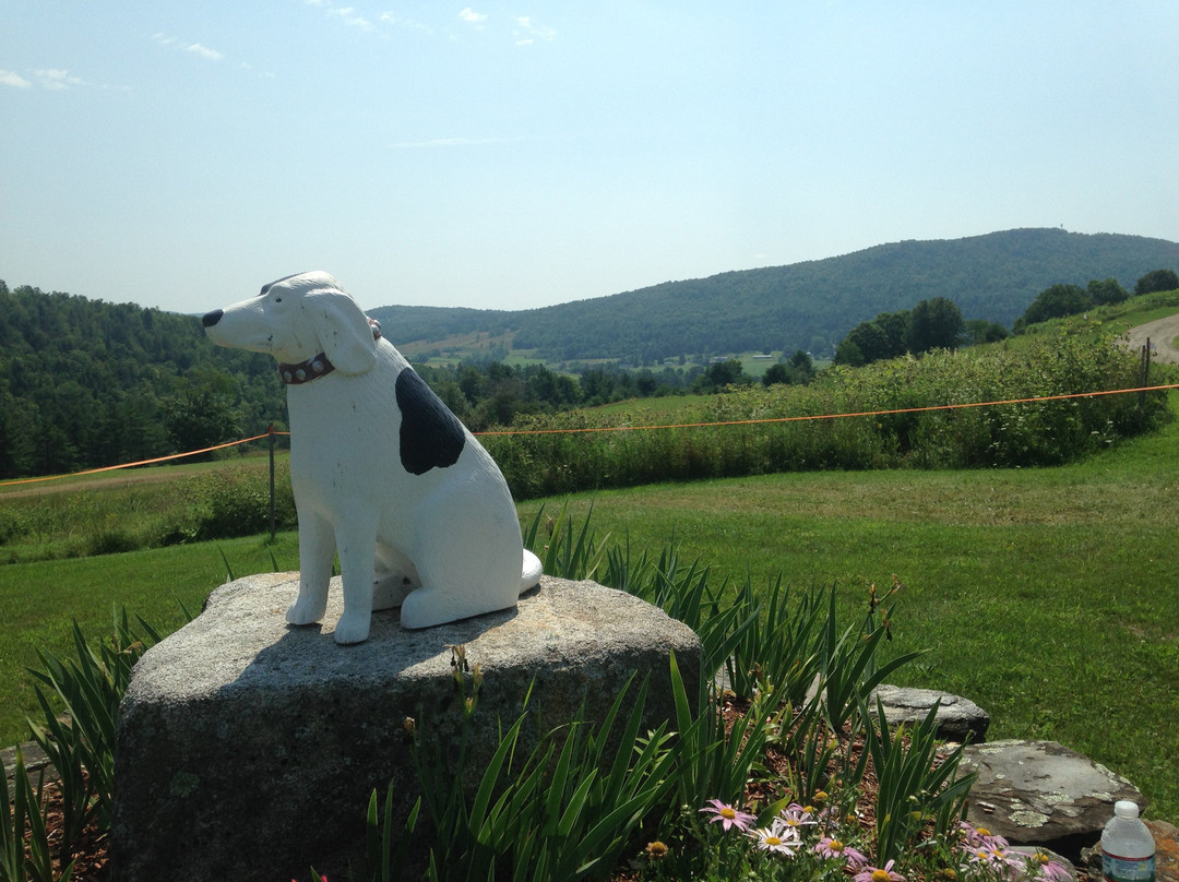 Dog Mountain Home of Stephen Huneck Gallery景点图片