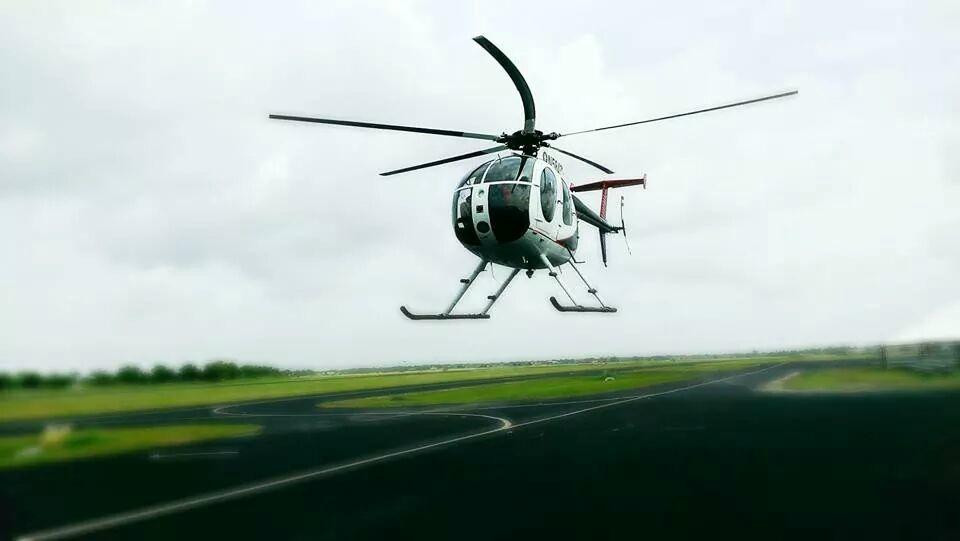 Lone Oak旅游攻略图片