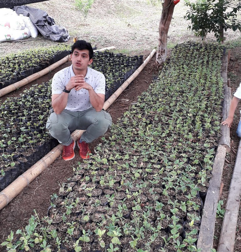 Cafe Jaguar-Silvania必去景点