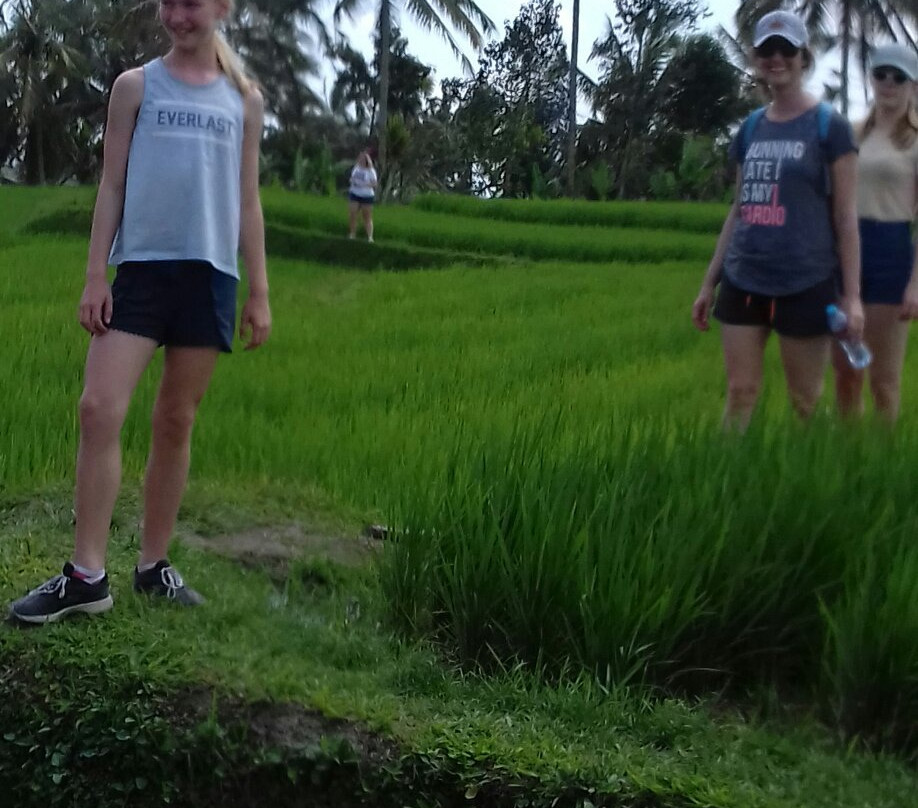 Tegalalang Riding Adventure景点图片