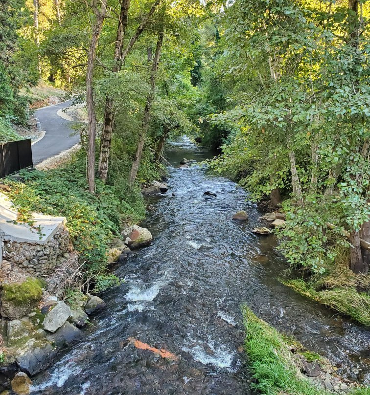 Wolf Creek Trail-Grass Valley必去景点