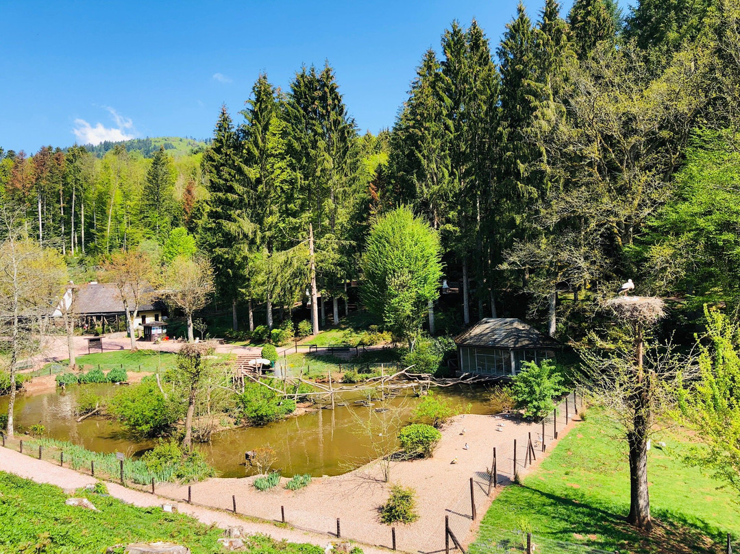 Vogelpark Steinen景点图片