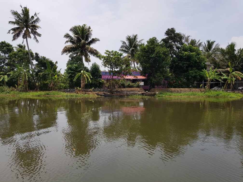 Alleppey Backwater Tours景点图片