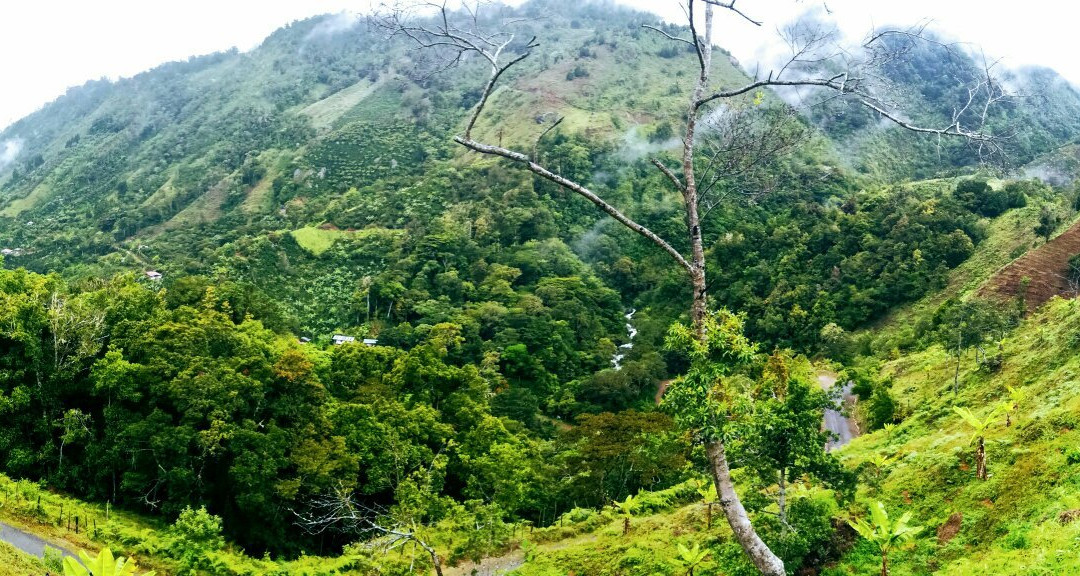 Parque National Los Quetzales景点图片