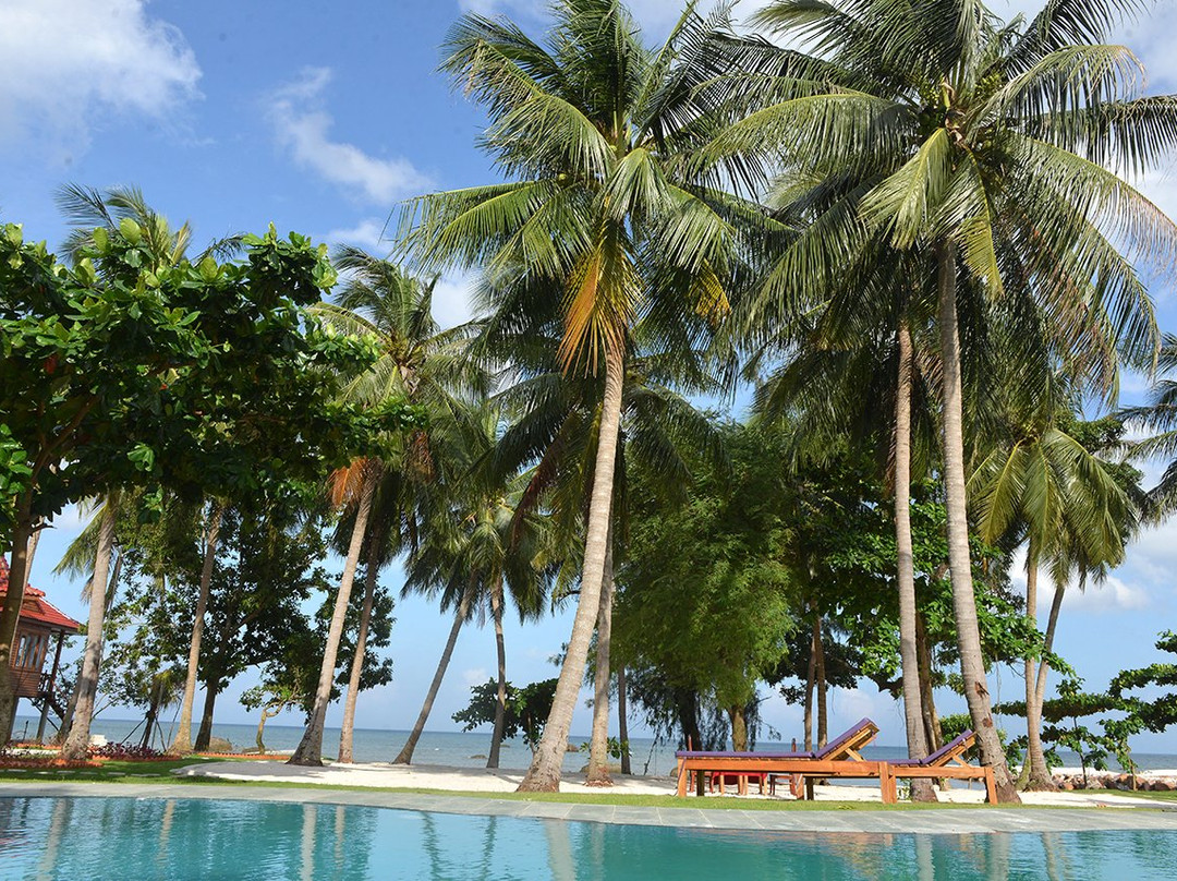 Cay Sao Phu Quoc主图