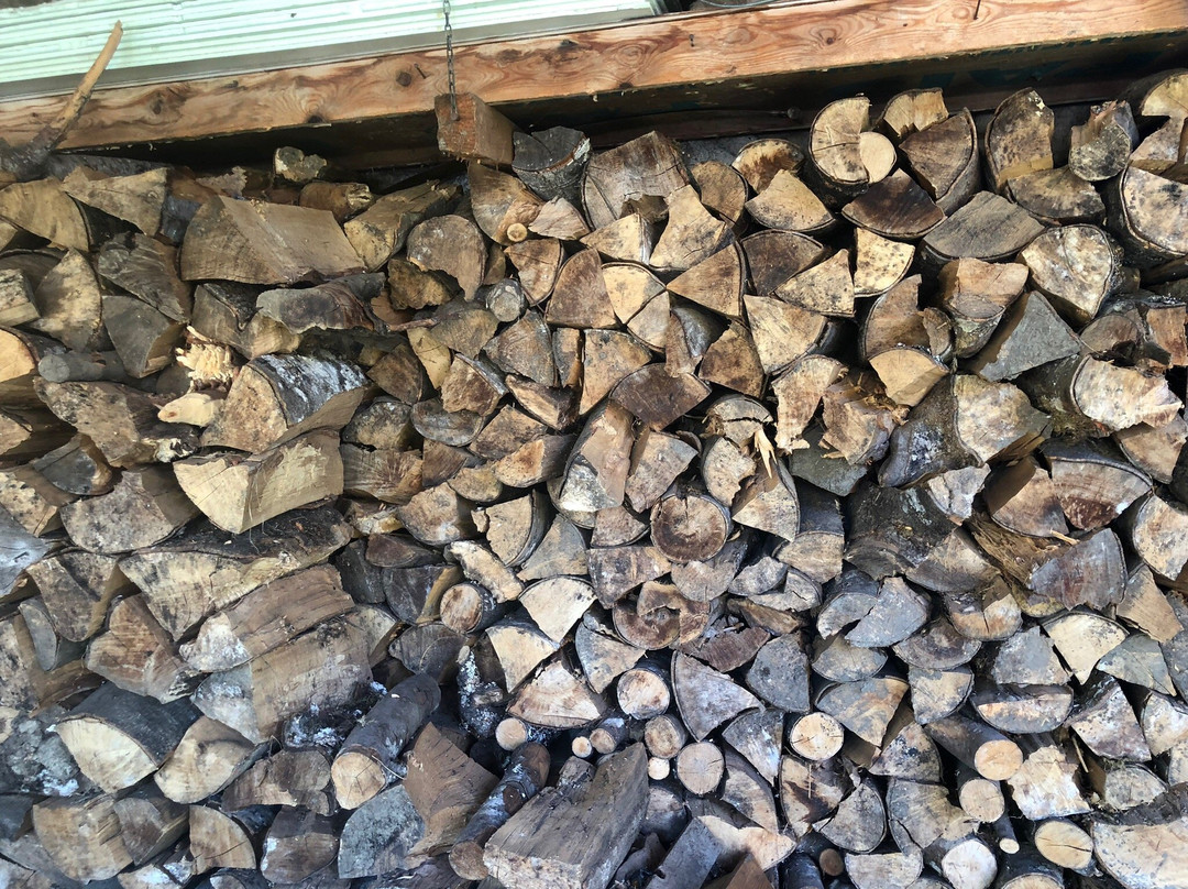 Sol del Mediodia主图