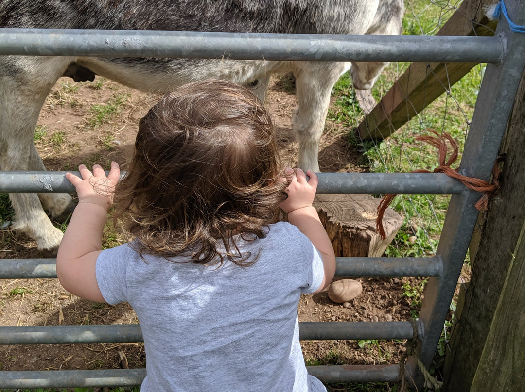 Oak Tree Farm-Stonnall必去景点