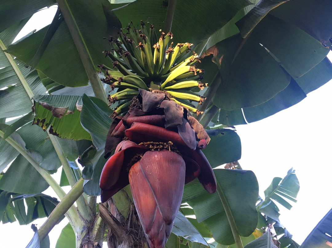 Yacaratia Lodge主图