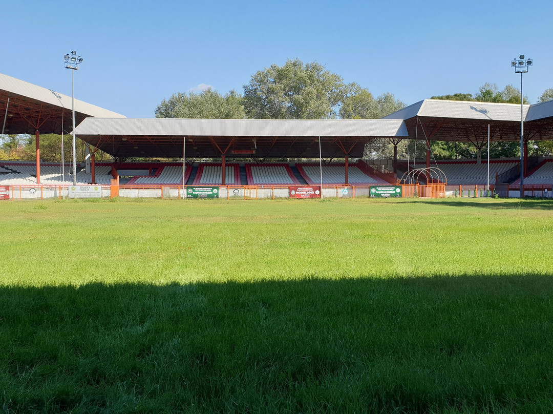 Kirkpinar Oil Wrestling-Edirne必去景点