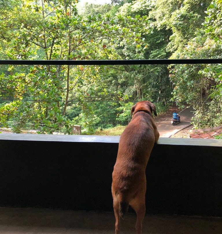 康提萨玛西中心酒店主图