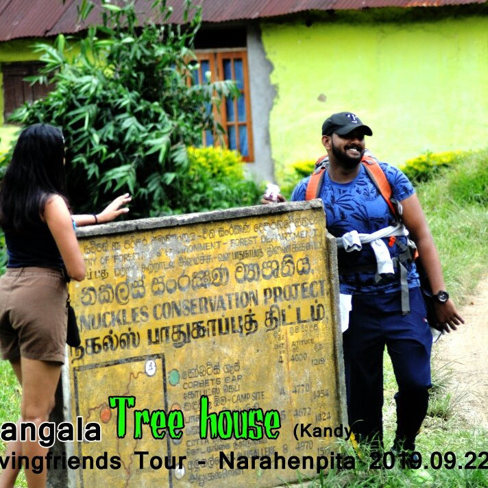 Tree House Rangala主图