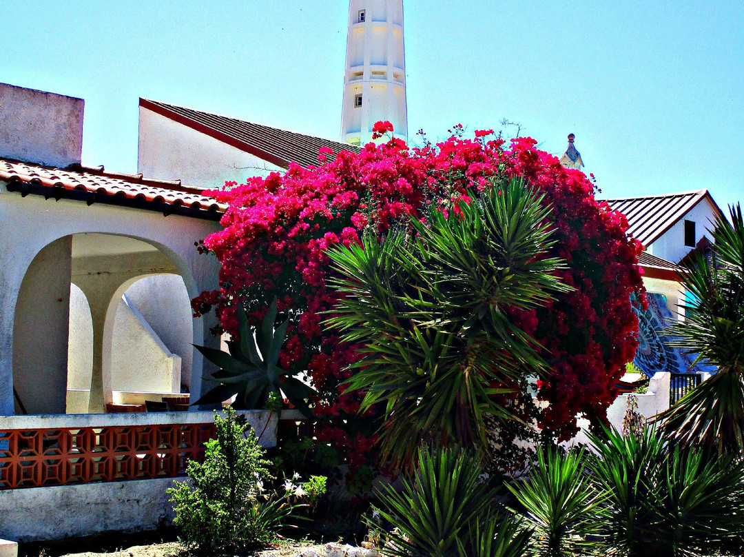 Ilha Do Farol景点图片