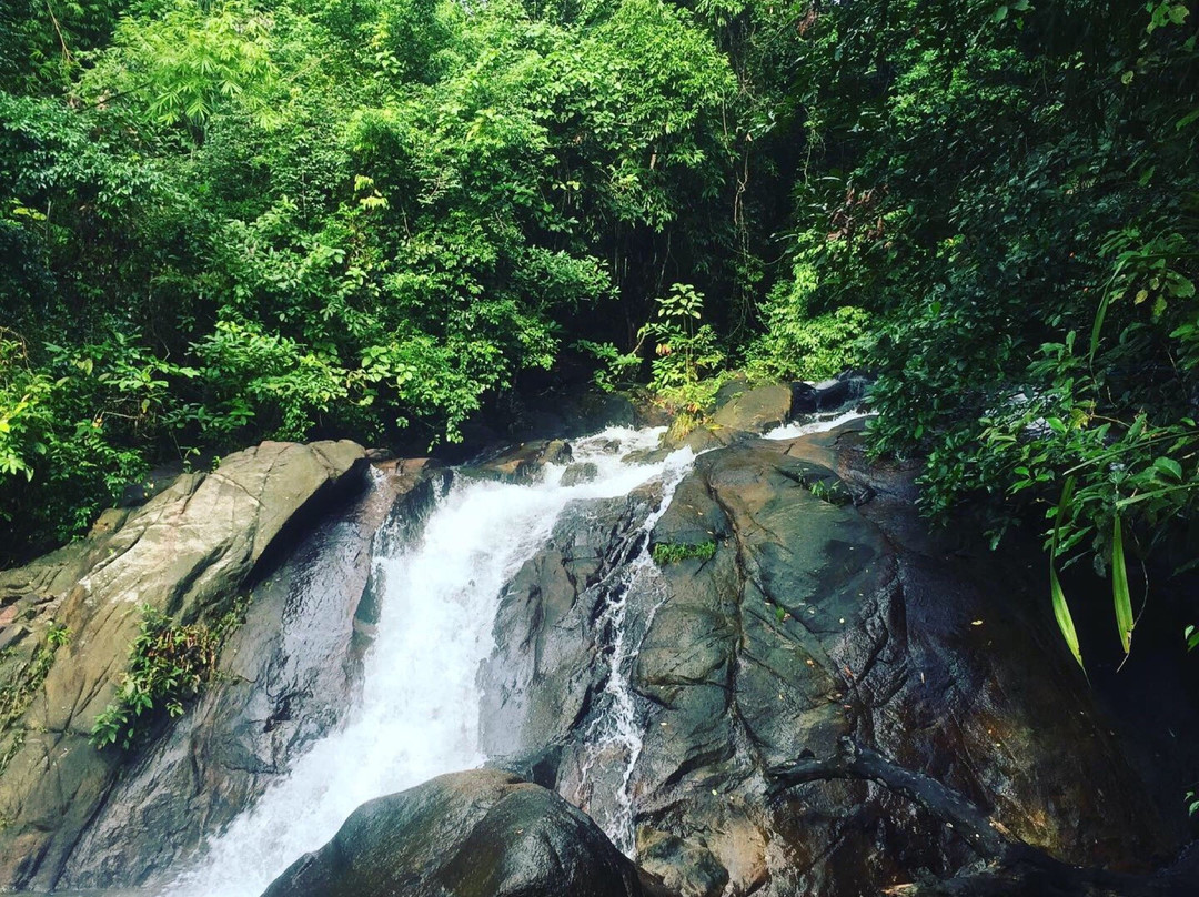 Tongdee Elephant Camp-Bang Muang必去景点