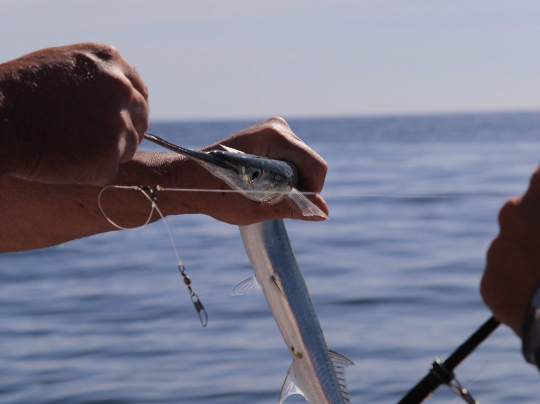 Blue Shark Big Game Fishing-拉各斯必去景点
