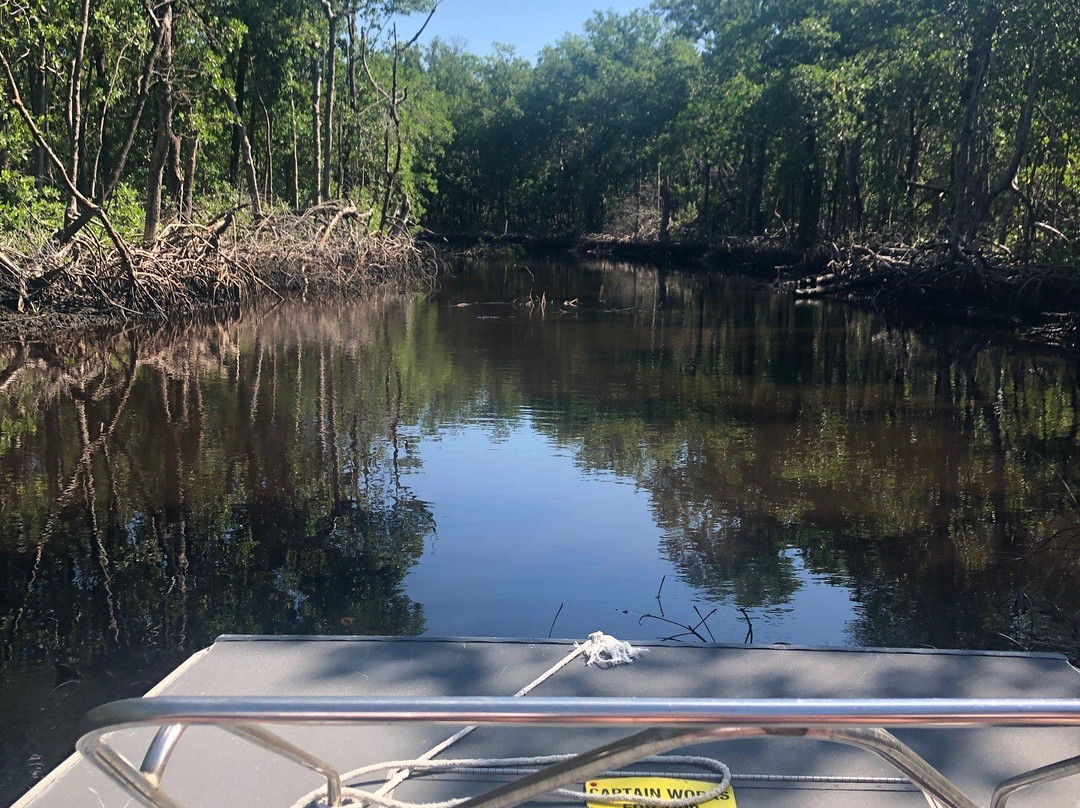 Everglades City Boardwalk-大沼泽地必去景点