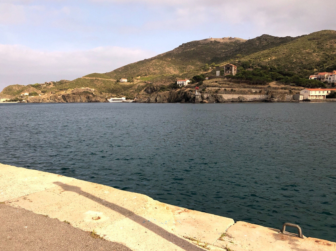 Les Poissonneries de la Côte Catalane景点图片